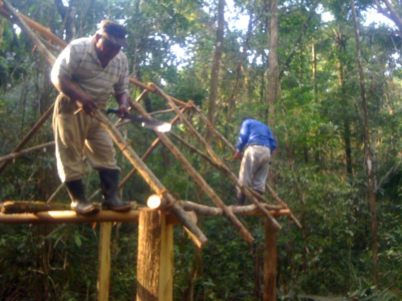 Jose Bo from Santa Ana Building the Roof of the First Building at Jungle Cat Cacao Farm