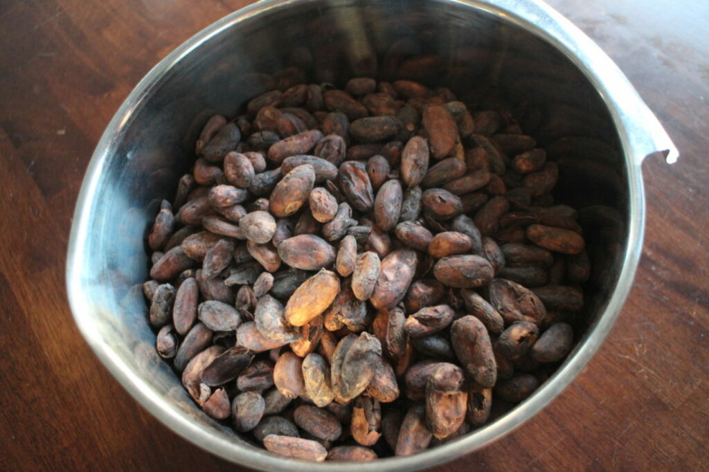 Raw Cacao Beans