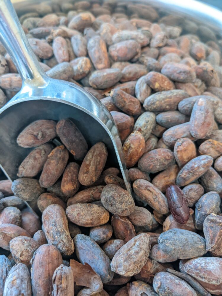 Roasted Belizean Cacao Beans