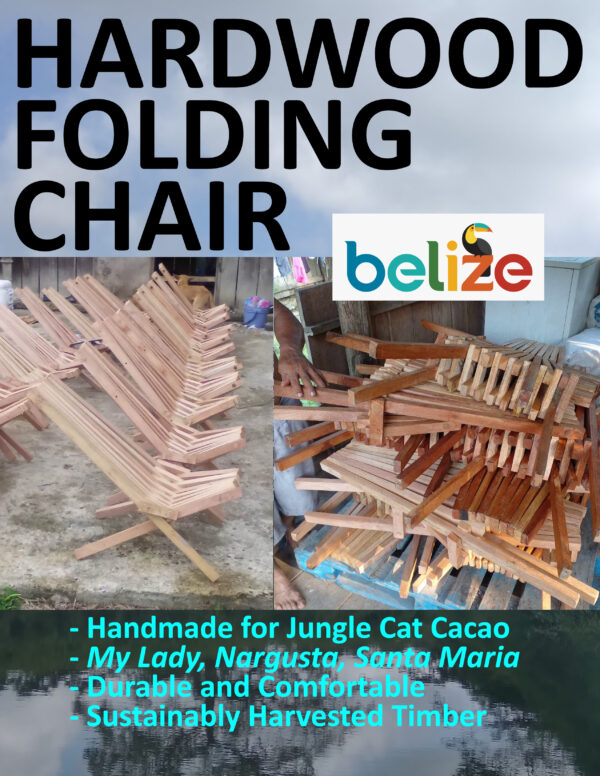 Belizean Folding Chair